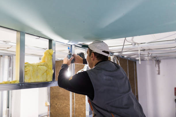 Best Cellulose Insulation in Prunedale, CA